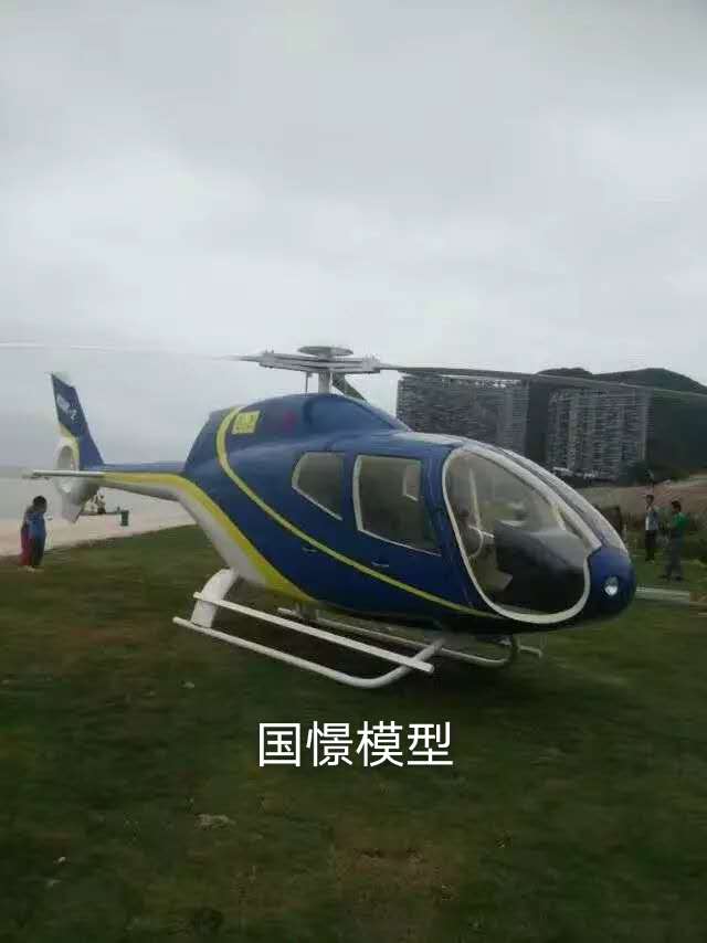 白水县飞机模型